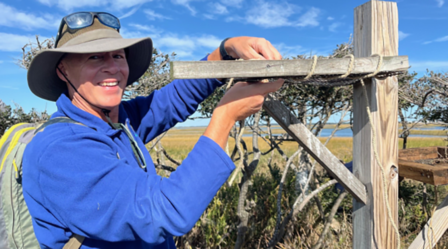 Matthew Godfrey will give an overview of sea turtle nesting and nest protection in the state at the "Green Drinks" event in Morehead City.