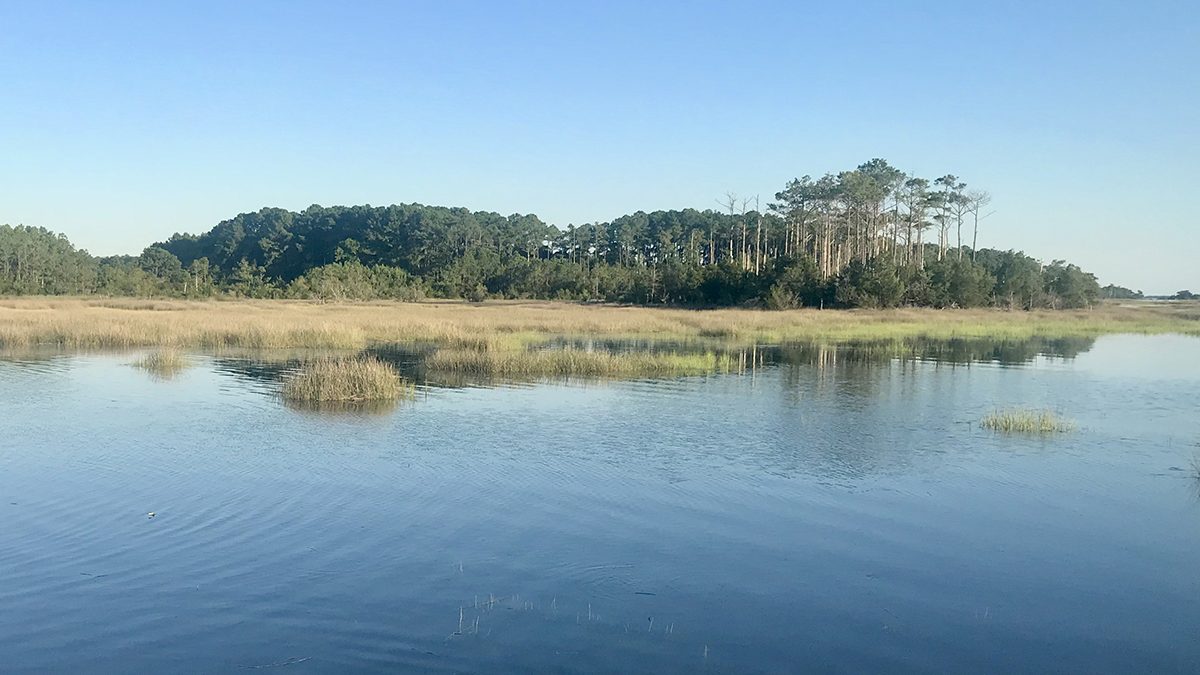 A high tide like this scene near Beaufort is commonly seen today and may be the low-tide starting point in years to come. Photo: Gordon Churchill