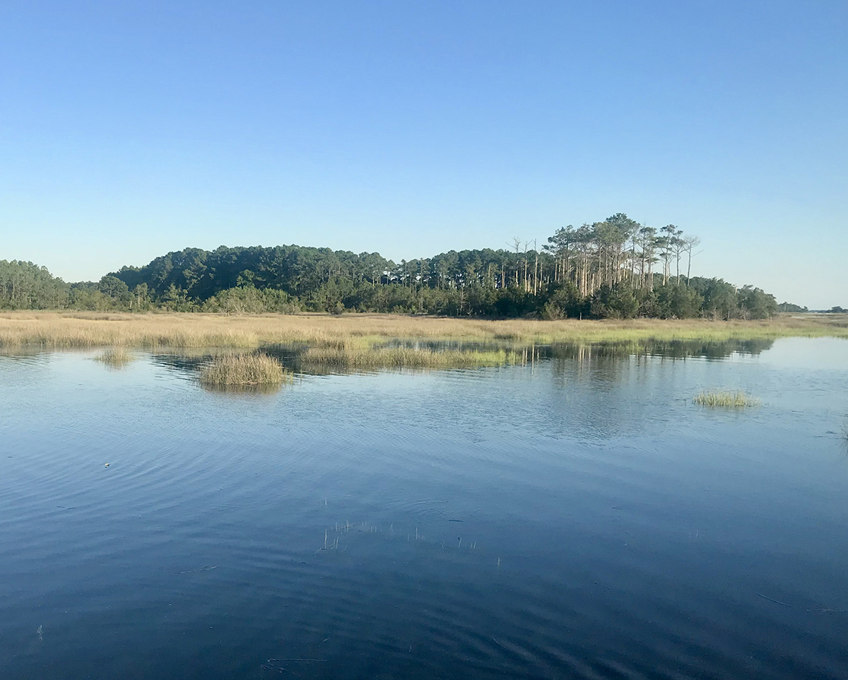 A high tide like this scene near Beaufort is commonly seen today and may be the low-tide starting point in years to come. Photo: Gordon Churchill