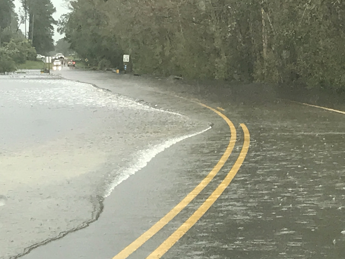 When the water gets over the road, as illustrated by the scene near Beaufort, it’s probably best to find a different way. Photo: Gordon Churchill