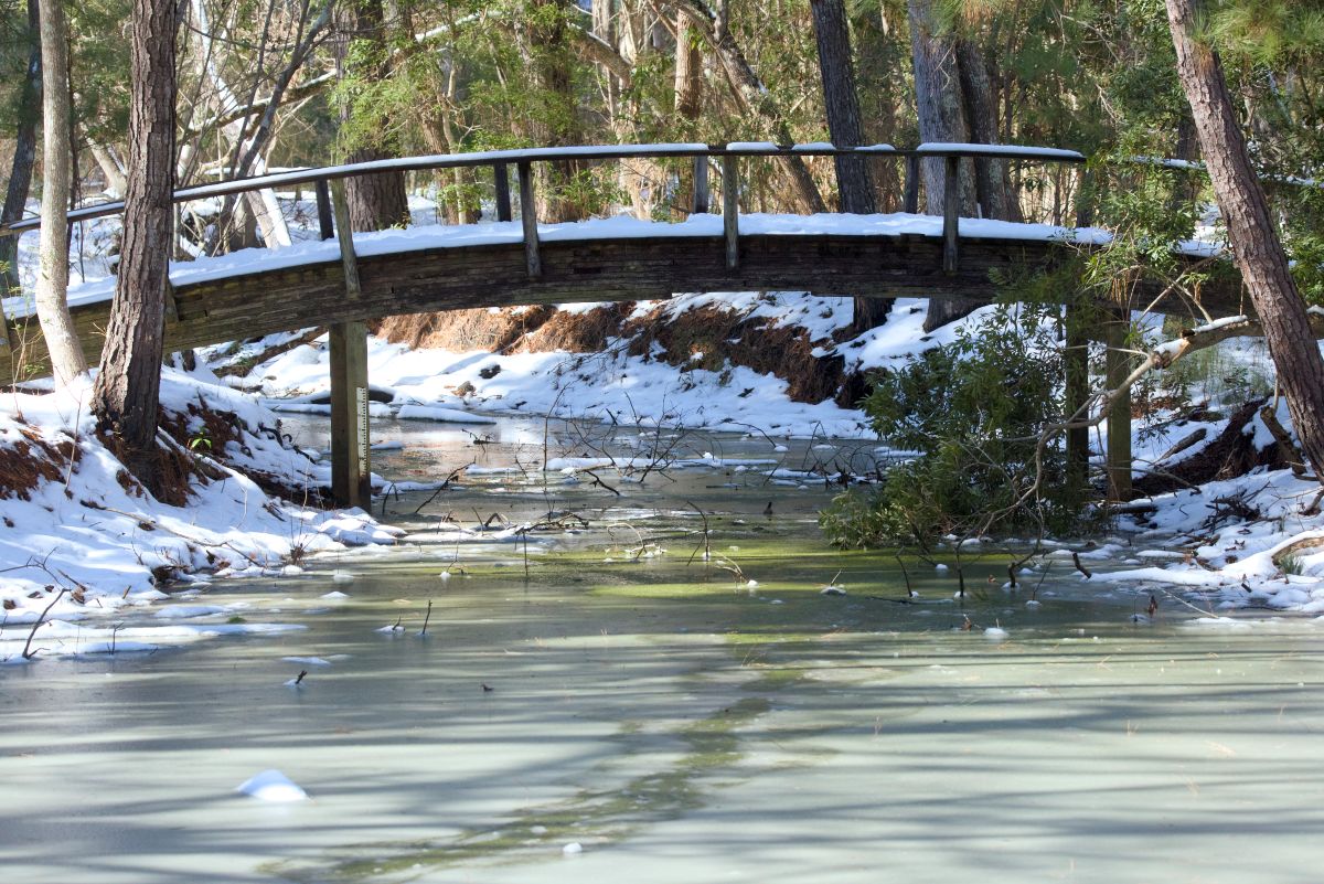 Part of the Center Trail, the bridge, shown during a previous winter, crosses a pond near the visitor center at the entrance to the reserve. 