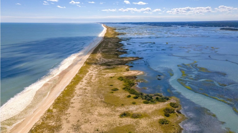 National Estuaries Week Highlights Ecological and Economic Value of Coastal Ecosystems