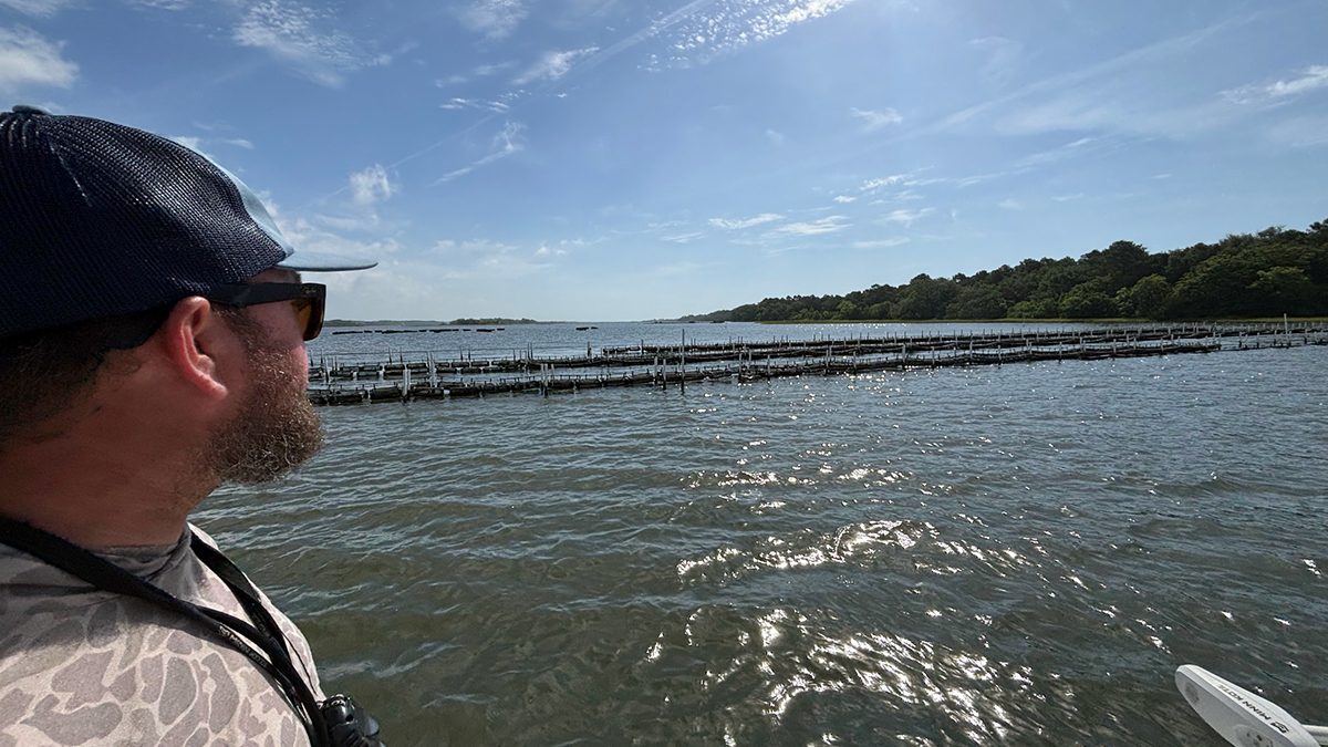 Capt. Ray Brittain, owner of Spring Tide Guide Service near Topsail Island, looks out at a water column shellfishing lease in the waters behind Topsail Island. Photo: Trista Talton