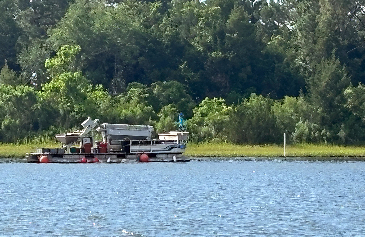 An oyster sorter is at the ready at a shellfish farm off the banks of the Permuda Island Coastal Preserve in Stump Sound behind North Topsail Beach. Photo: Trista Talton