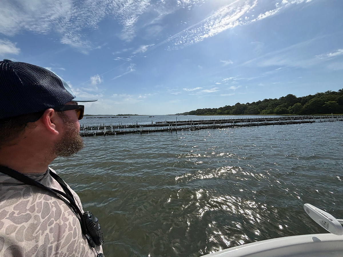 Capt. Ray Brittain, owner of Spring Tide Guide Service near Topsail Island, looks out at a water column shellfishing lease in the waters behind Topsail Island. Photo: Trista Talton