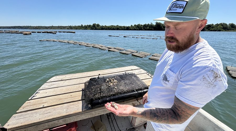 Cody Faison, owner of Ghost Fleet Oyster Co., talks about the method with which he farms oysters in Traps Bay in Onslow County. Photo: Trista Talton