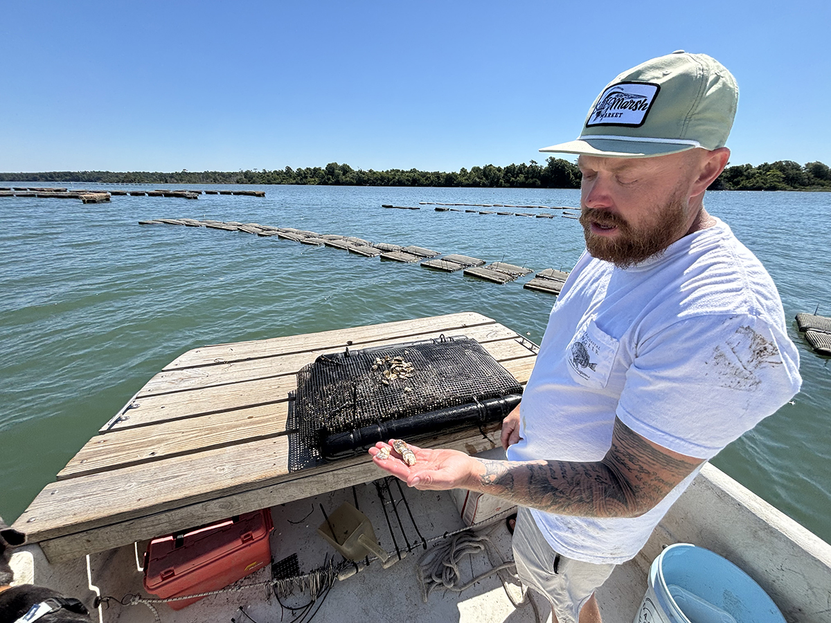 Moratoriums leave NC shellfish farmers with few options