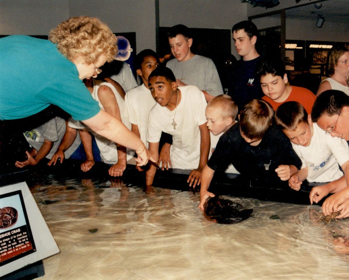 A volunteer helps students at the touch tank in this photo taken in the facility before it was renovated and reopened in 2006. Photo: N.C. Aquariums