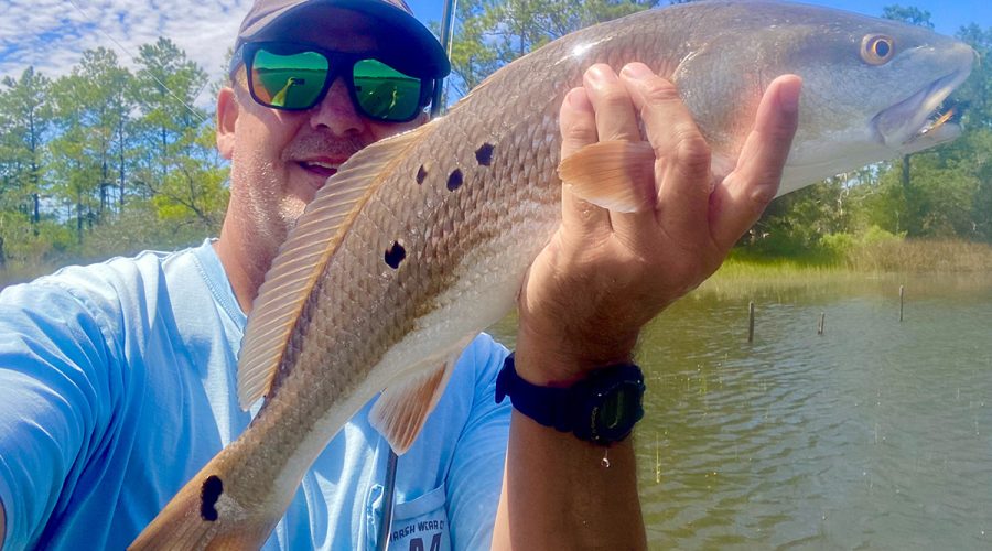 This was a great day in the marsh.