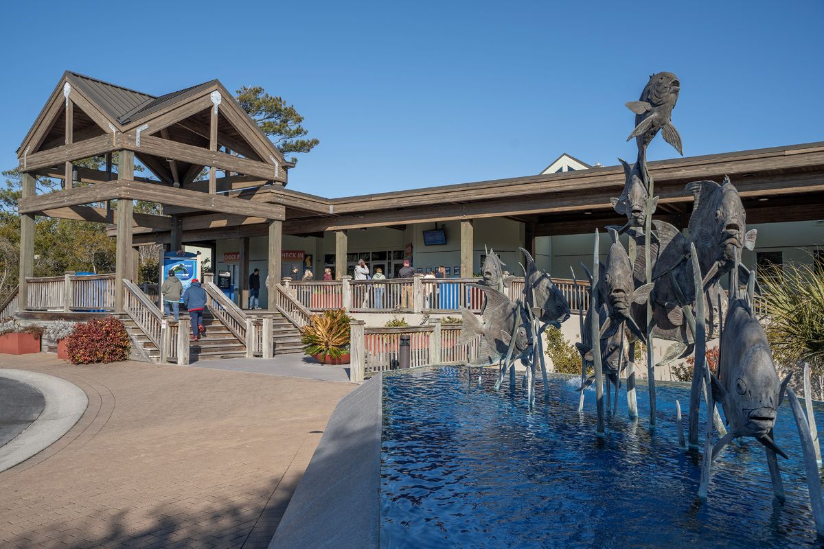 Visitors enter the N.C. Aquarium at Pine Knoll Shores in 2026. Photo: N.C. Aquariums