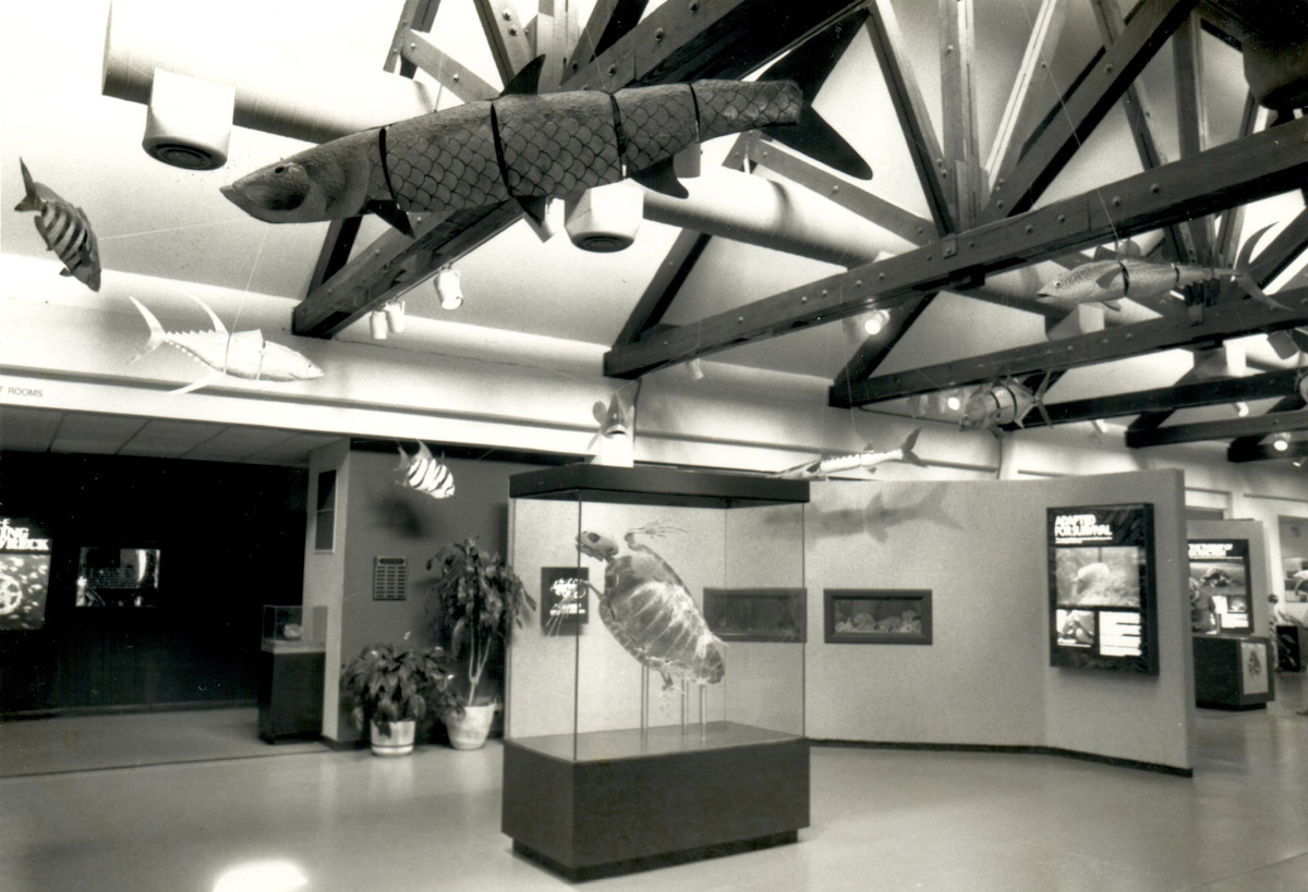 The North Carolina Aquarium at Pine Knoll Shores lobby as it appeared before the 2006 renovations. Photo: N.C. Aquariums
