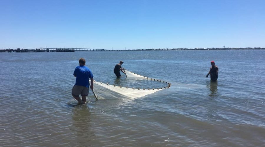 Carteret Community College Aquaculture Technology students pull a trawling net through Bogue Sound, just offshore from the campus lab in this 2019 photo from Carteret Community College