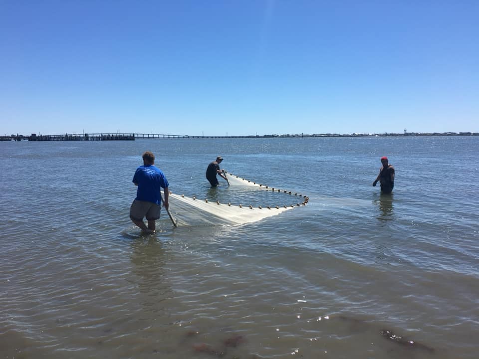 Carteret Community College Aquaculture Technology students pull a trawling net through Bogue Sound, just offshore from the campus lab in this 2019 photo from Carteret Community College