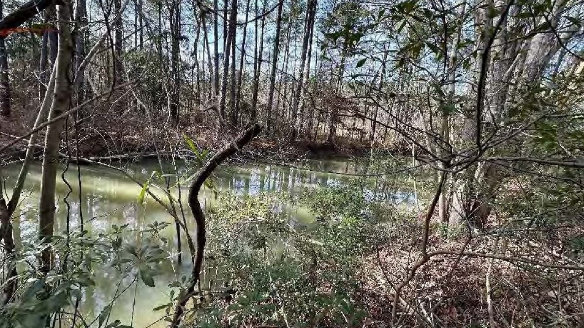 This photograph in the Castle Hayne Quarry expansion permit on the N.C. Department of Environmental Quality website displays a view of a jurisdictional ditch that eventually drains into Northeast Cape Fear River.