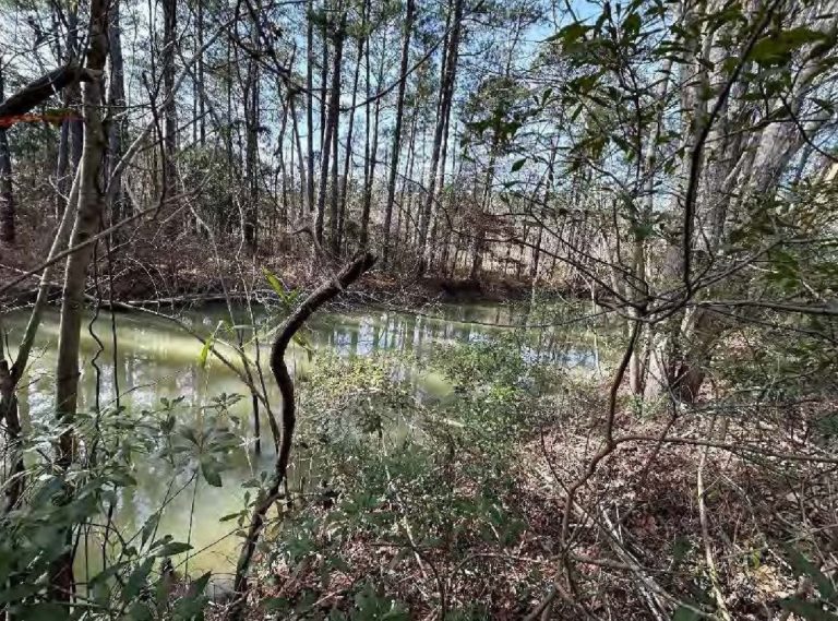 Advocates challenge proposed Castle Hayne quarry expansion