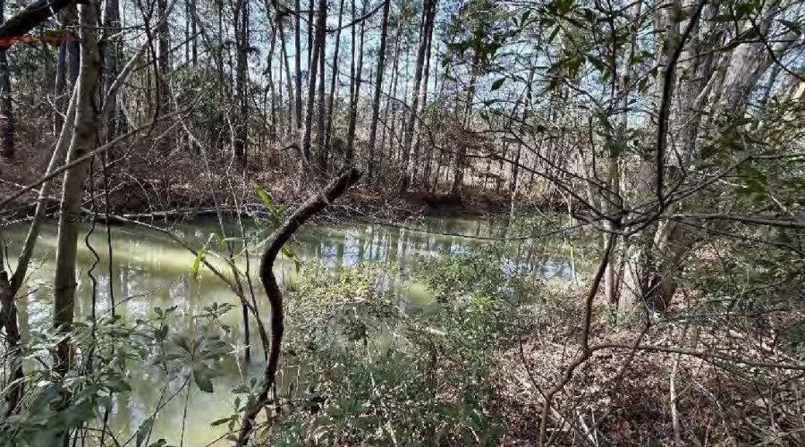 This photograph in the Castle Hayne Quarry expansion permit on the N.C. Department of Environmental Quality website displays a view of a jurisdictional ditch that eventually drains into Northeast Cape Fear River.