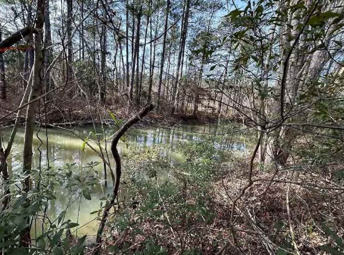 This photograph in the Castle Hayne Quarry expansion permit on the N.C. Department of Environmental Quality website displays a view of a jurisdictional ditch that eventually drains into Northeast Cape Fear River.