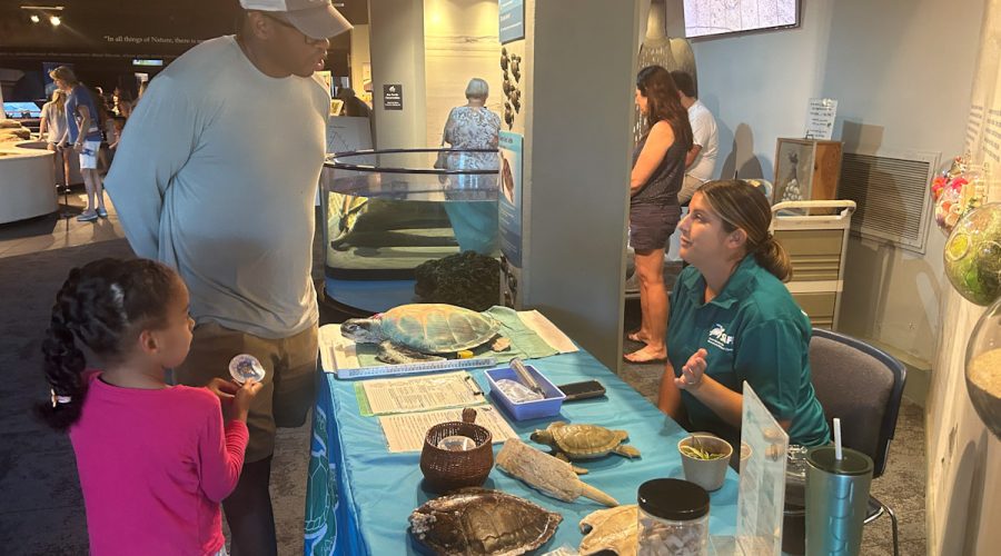 A past Femme in STEM event held at the North Carolina Aquarium at Fort Fisher. The annual daylong program offers immersive experiences and opportunities to engage with leaders in their fields of science, technology, engineering and math. Photo: N.C. Aquarium at Fort Fisher