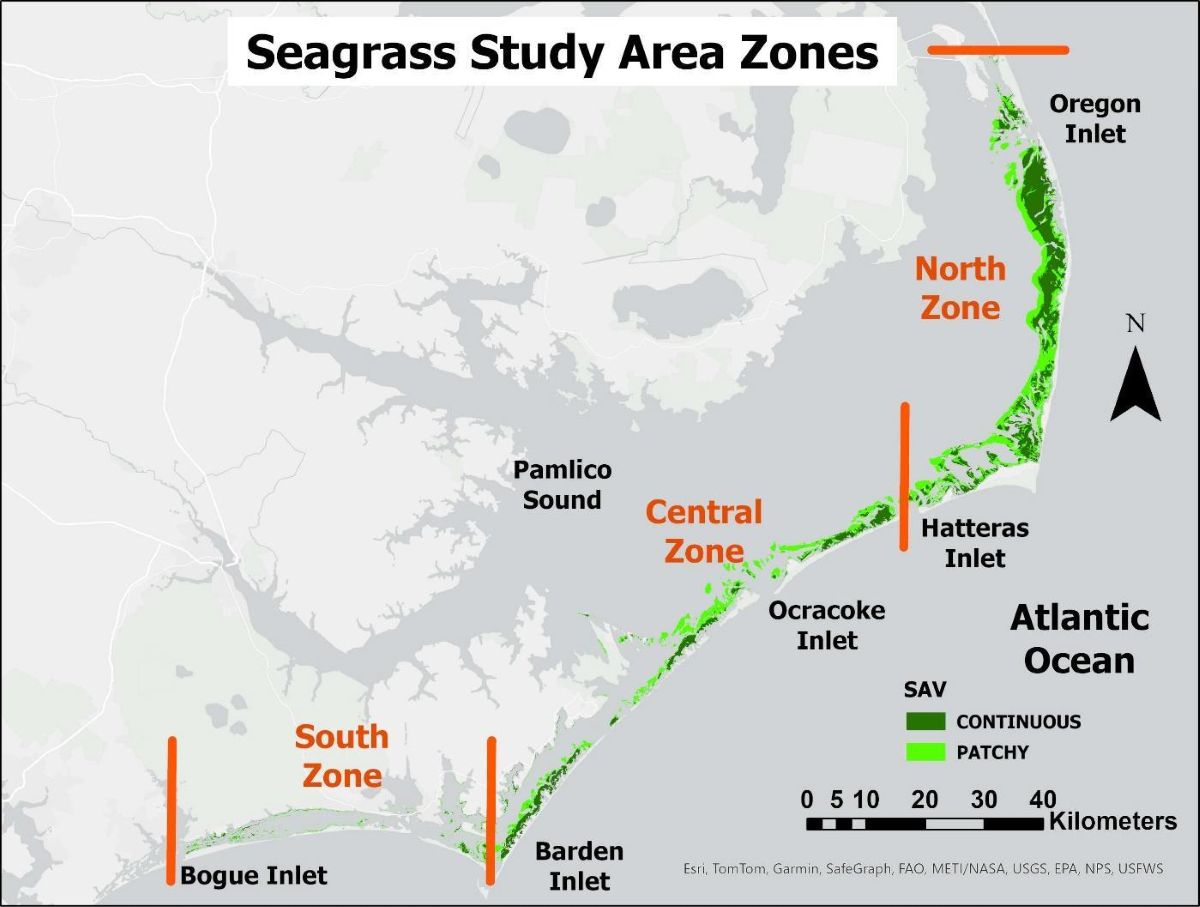 Seagrass study area map is from interpretation of the 2006-2007 aerial survey imagery. Graphic: APNEP