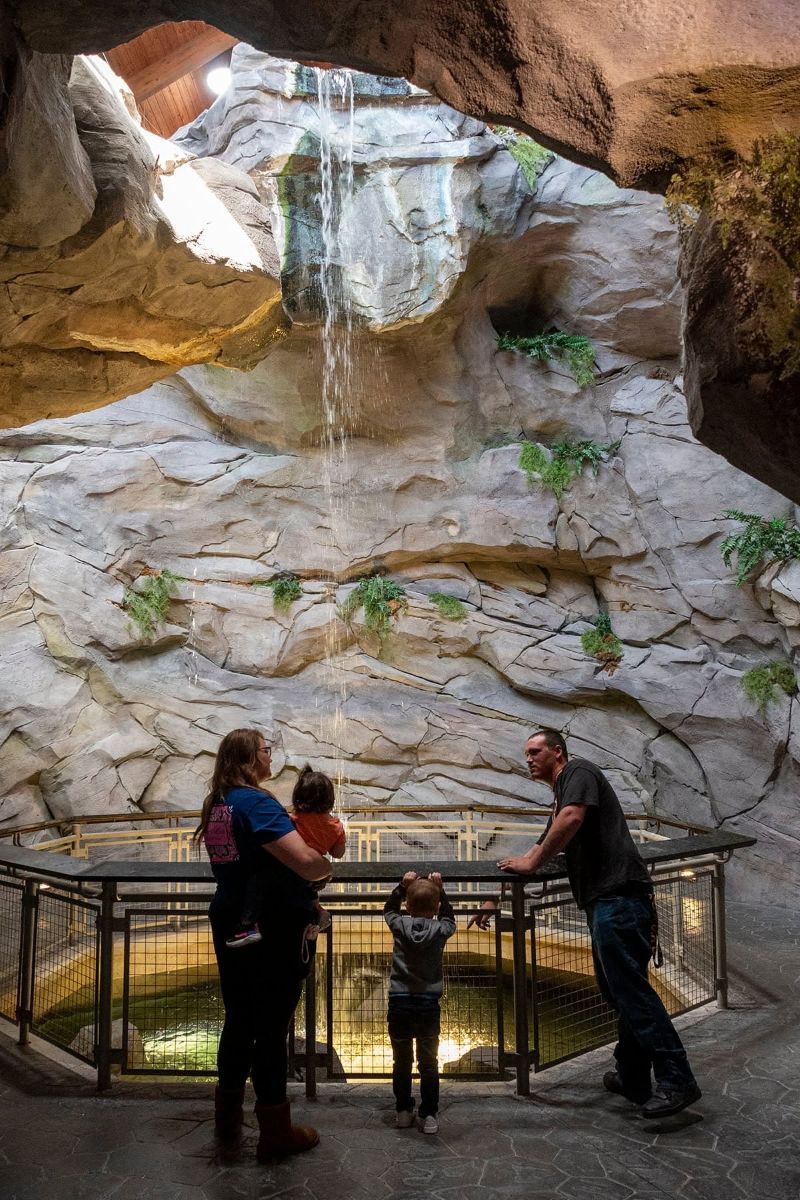 The Smoky Mountain waterfall welcomes visitors as they step into the North Carolina Aquarium at Pine Knoll Shores. Photo: N.C. Aquariums