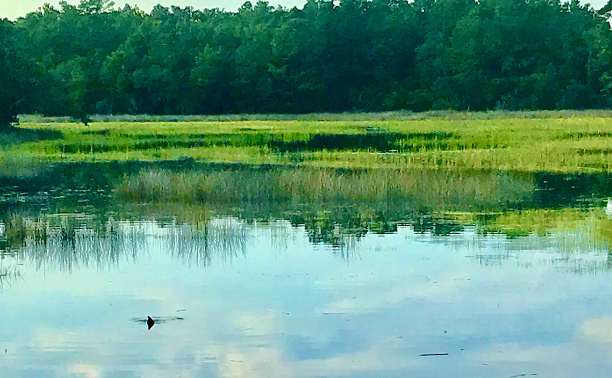This beautiful view and that redfish tail will haunt your dreams after the first time. Photo: Gordon Churchill