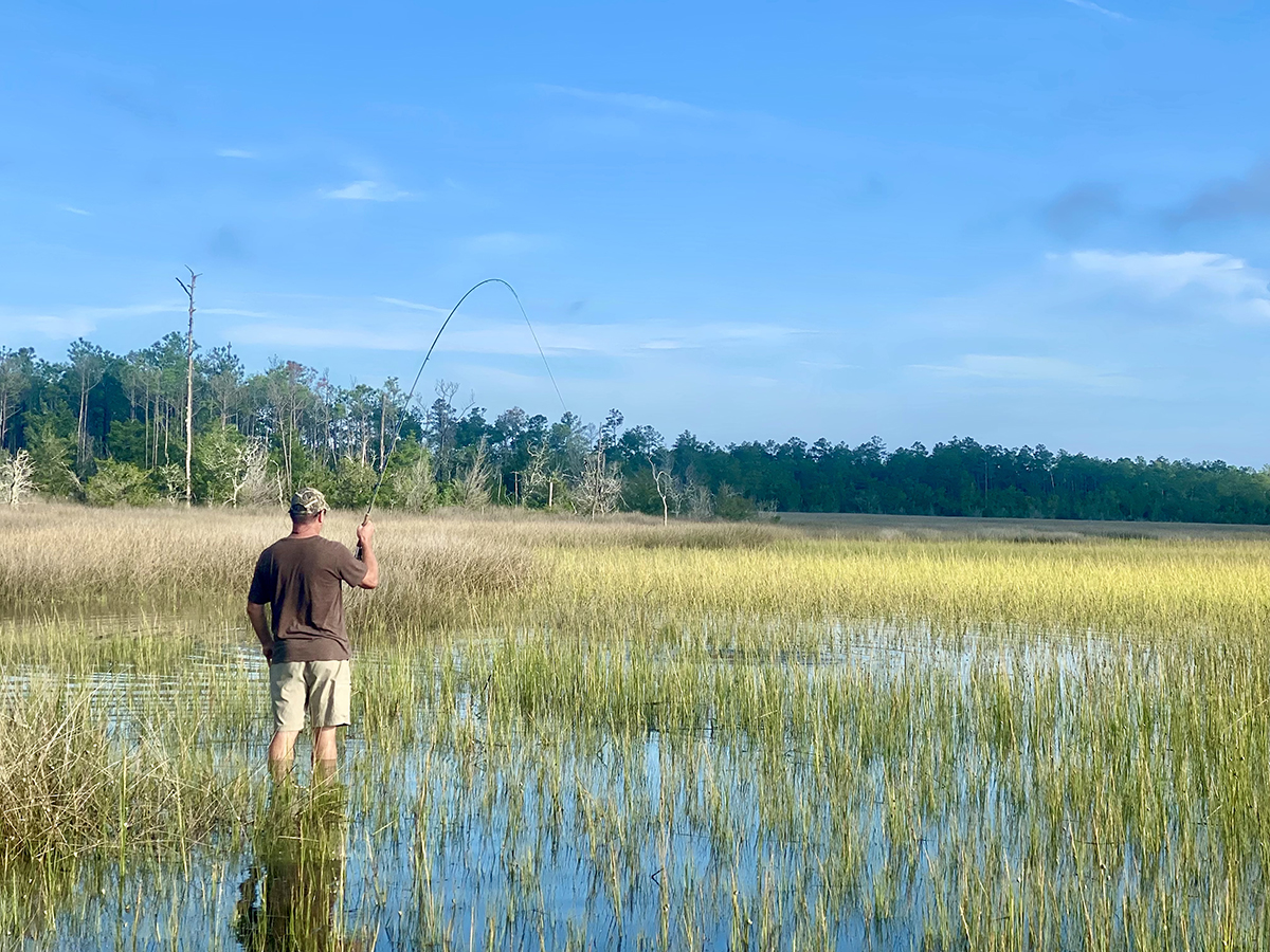 Tailing reds in spartina marshes: Think like a struggling crab