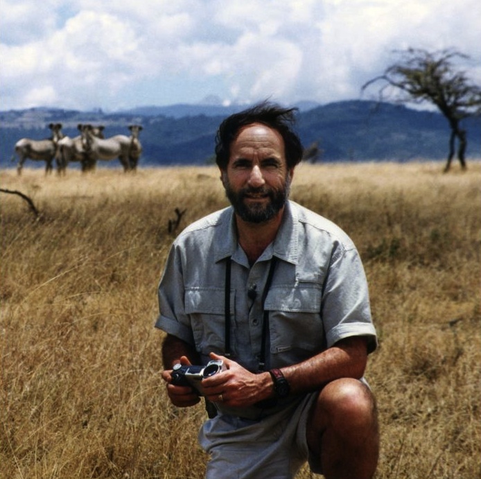 Dr. Dan Rubenstein in the field. A behavioral ecologist, which means he researches animal behavior, he has studied the wild herd on Shackleford Banks for decades. Photo courtesy of Rubenstein