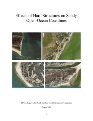 effects of hard structures on sandy open ocean coastlines_Page_01