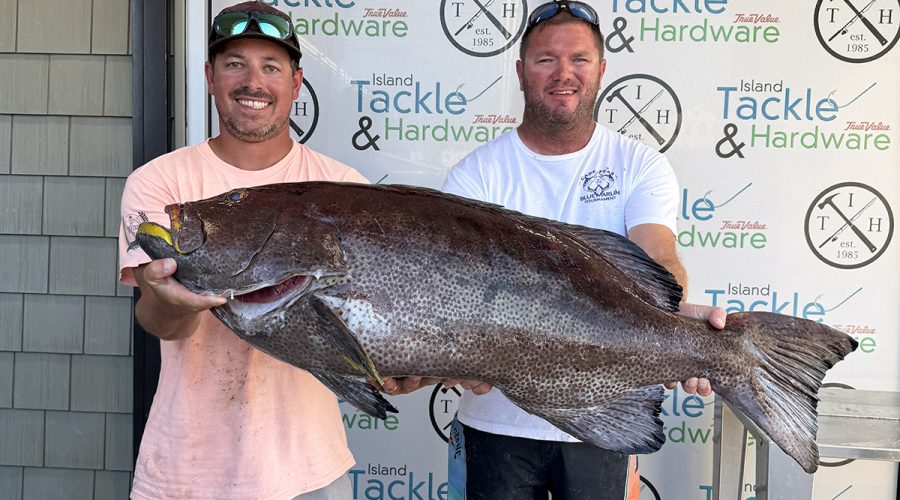 John Theodorakis, left, and his friend, Austin Eubank display the new state record yellowfin grouper landed July 2. Photo: Division of Marine Fisheries