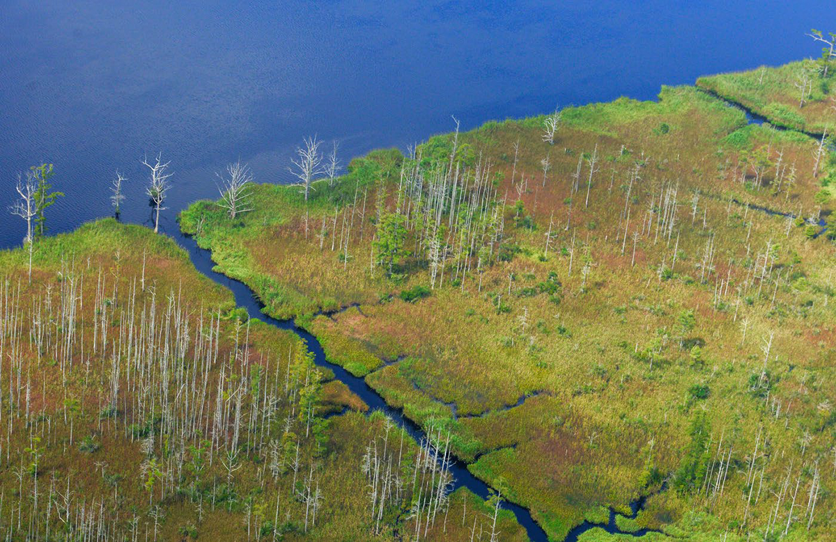 The Cape Fear River as seen from above, Aug. 11, 2014. Overflight provided by SouthWings, photo by Alan Cradick.