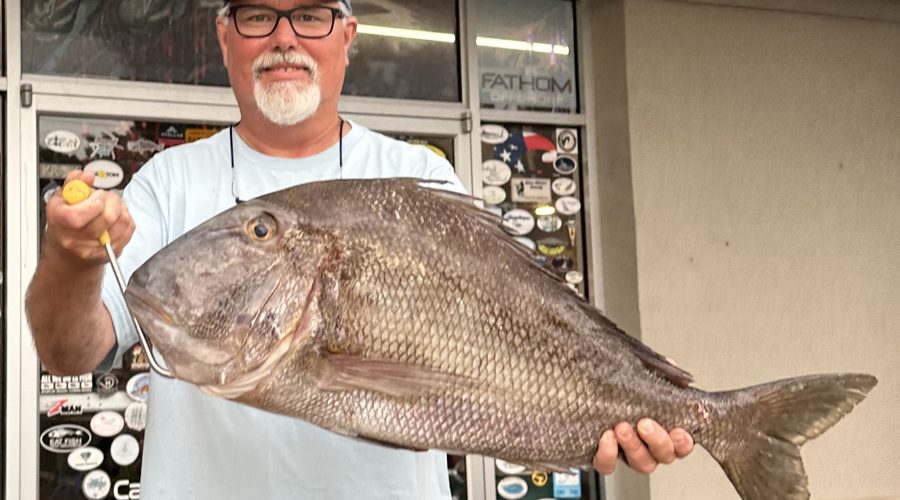 Brock Davenport of Beaufort poses with his new state record catch jolthead porgy. Photo: Division of Marine Fisheries