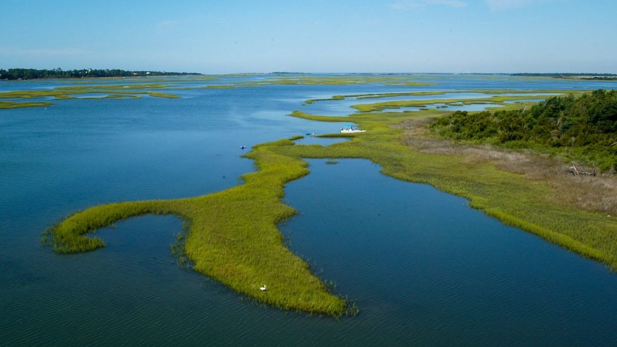 North Carolina Department of Environmental Quality staff are working on the draft 2026 amendment to the Coastal Habitat Protection Plan is underway. Photo: NCDEQ