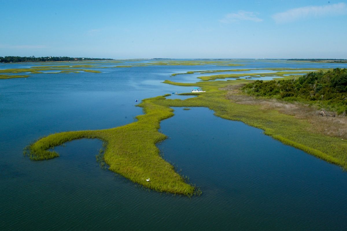 North Carolina Department of Environmental Quality staff are working on the draft 2026 amendment to the Coastal Habitat Protection. Photo: NCDEQ