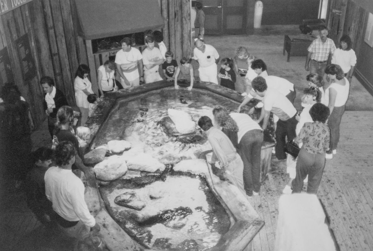 The Roanoke Island aquarium in Manteo in the early years. Photo: N.C. Aquariums