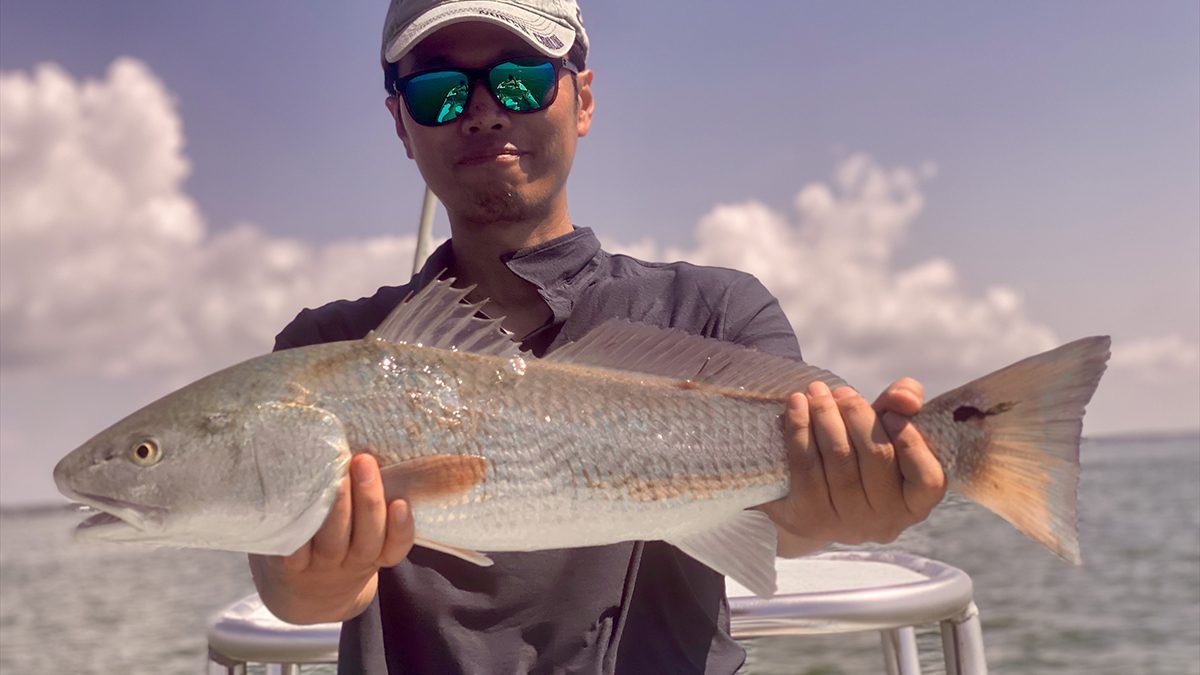 Shintaro Bunya of Cary shows off a hog redfish from a pen.