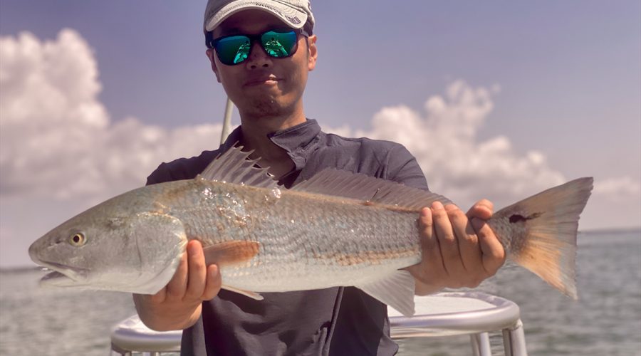 Shintaro Bunya of Cary shows off a hog redfish from a pen.