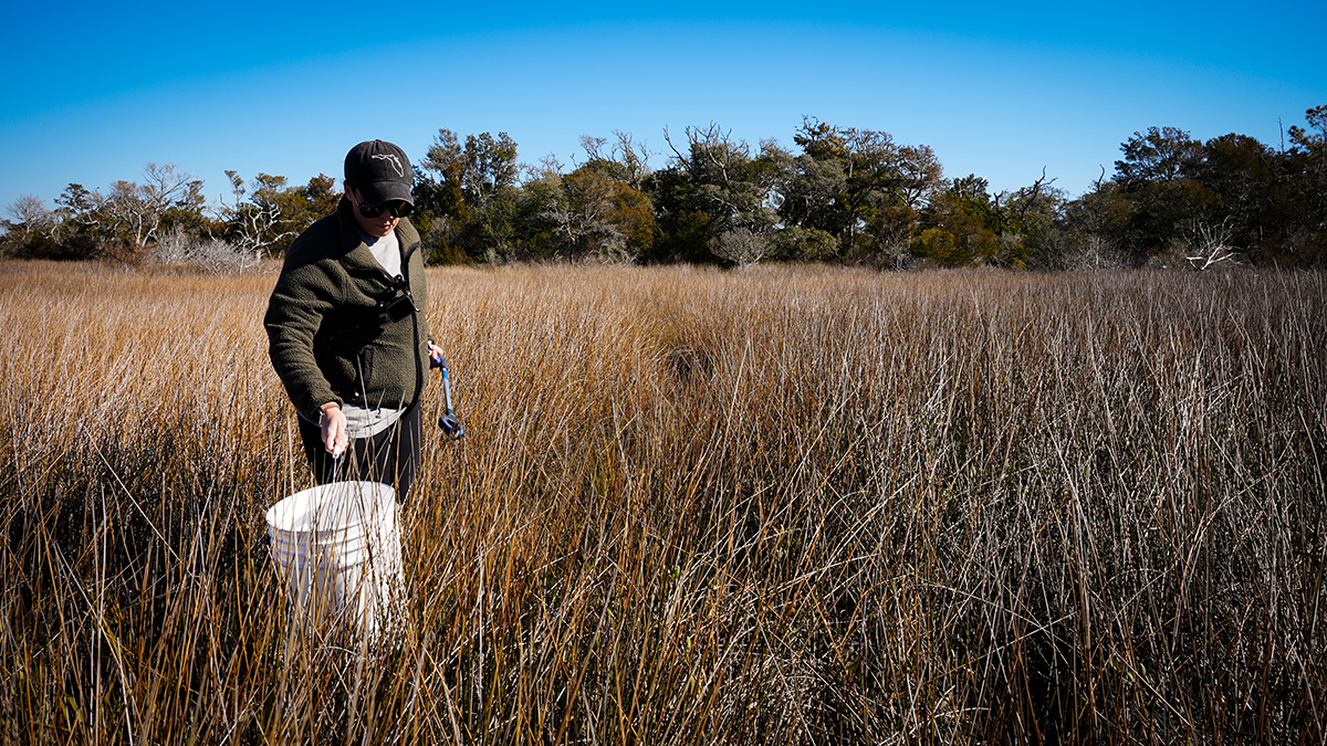 The cleanup at Hoop Pole Creek Nature Preserve requires closed-toe shoes or footwear appropriate for the marsh, such as this effort in January 2025. Photo: Lauren Colonair/North Carolina Coastal Federation