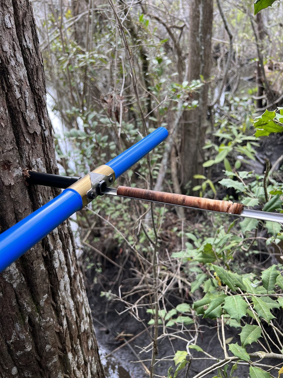 An increment borer extracts a wood core from a bald cypress along Smith Creek. Researchers use the cores to date trees and study their growth. Photo courtesy of Monica Rother.